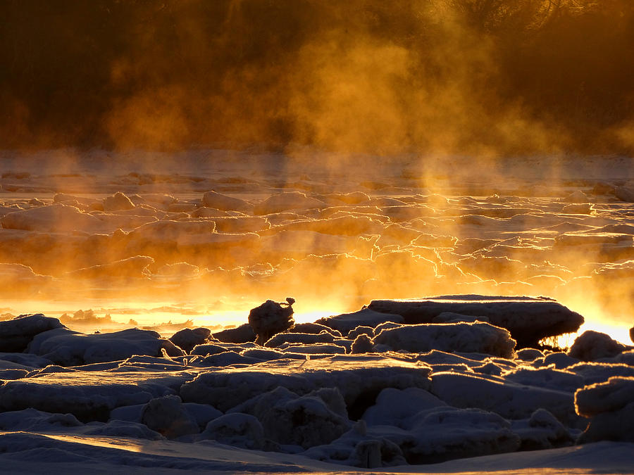 Fire and Ice - Arctic Cape Cod Photograph by Dianne Cowen Cape Cod Photography