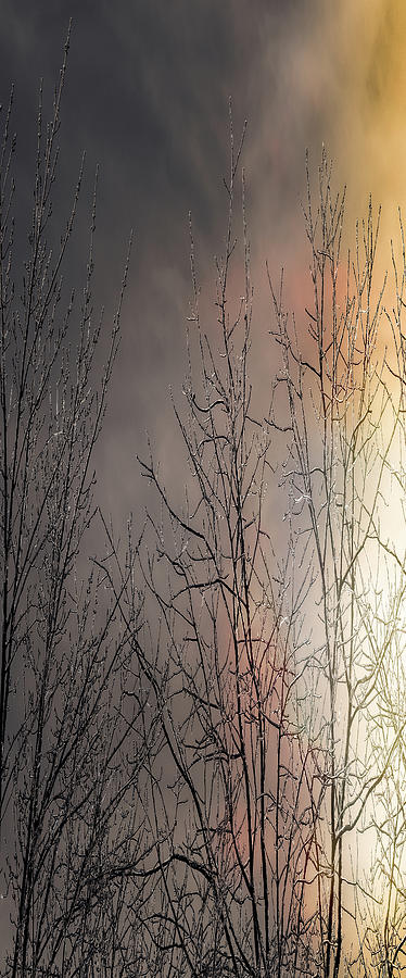 Fire and Ice by Donna Lee Fire and Ice by Donna Lee