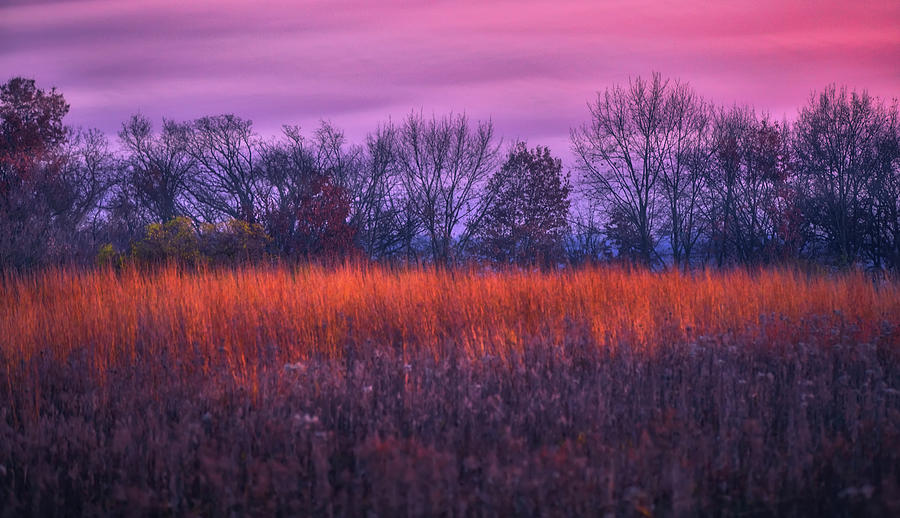 Fire and Ice - Sunset and Prairie at Retzer Nature Center Photograph by Jennifer Rondinelli Reilly - Fine Art Photography
