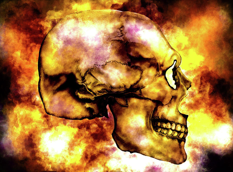 Fire and Skull Mixed Media by Lisa Stanley