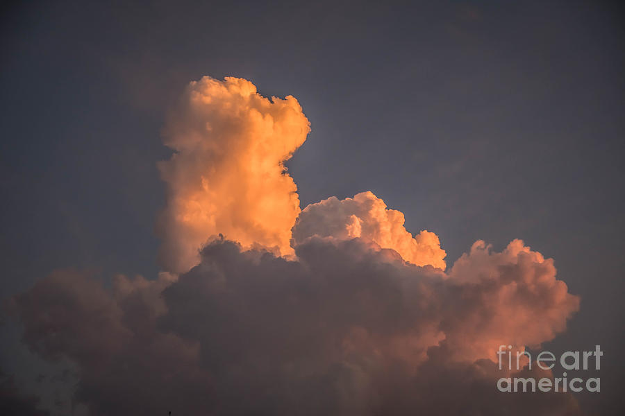 Fire Clouds Photograph by Grace Grogan