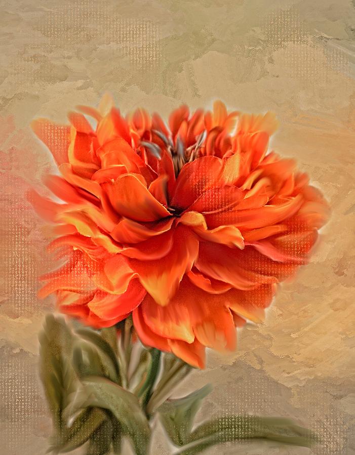 Fire Dahlia Photograph by Mary Timman