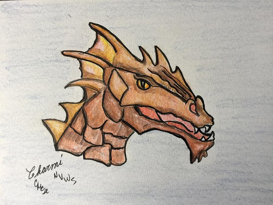 Fire Dragon Drawing by Charme Curtin