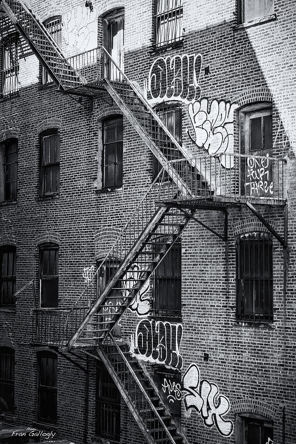 Fire Escapes Photograph by Fran Gallogly