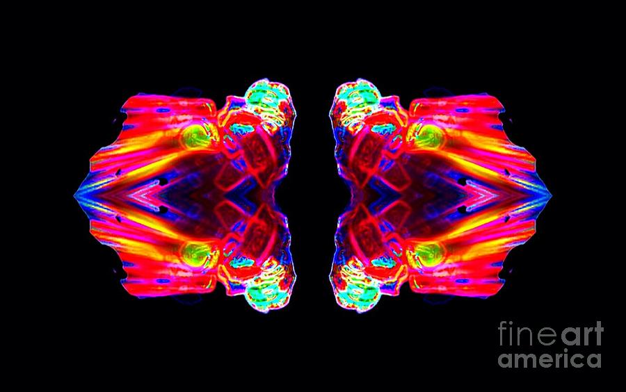 Abstract Digital Art - Fire Fly by Lorles Lifestyles Abstract Digital Art - Fire Fly by Lorles Lifestyles