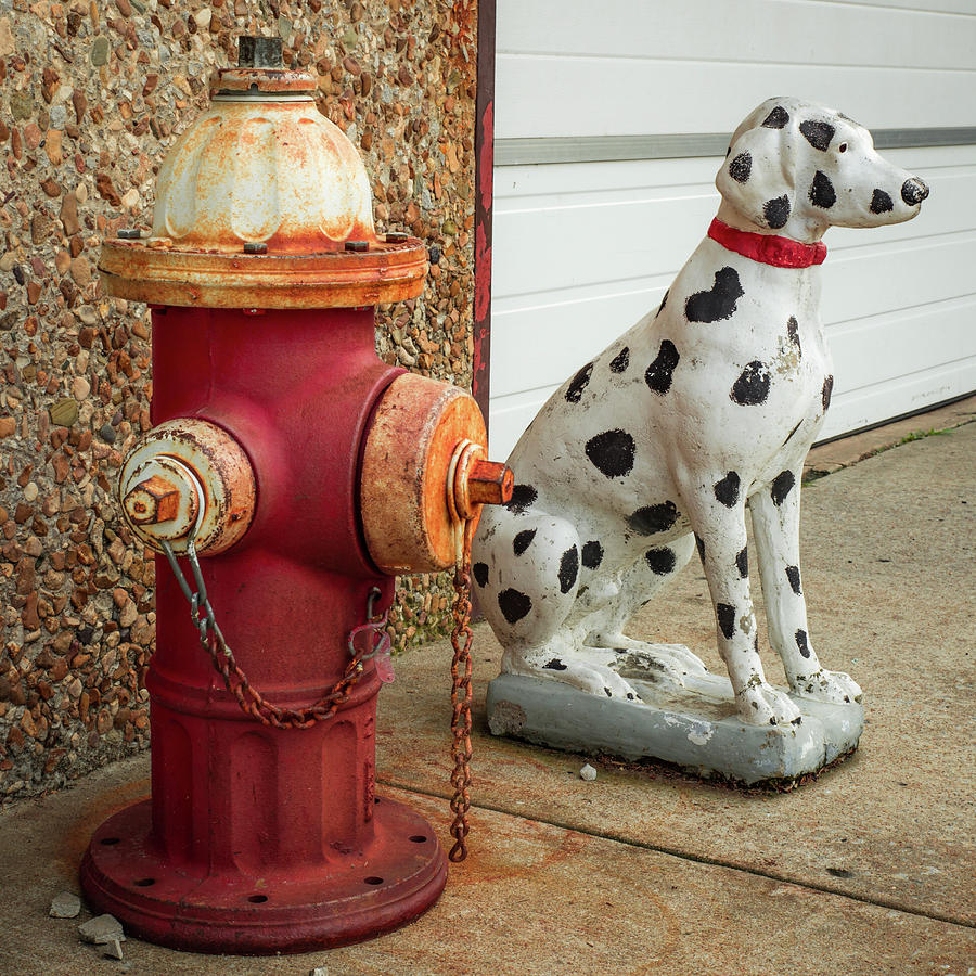 Dog Photograph - Fire Hydrant and Dalmation - Fire Station Art by Gregory Ballos