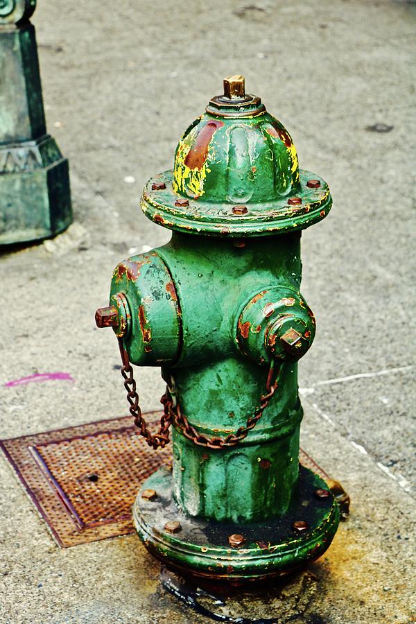 Fire Hydrant Photograph by Brian Sereda