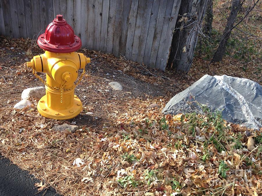 Fire Hydrant checking Her Facerock Page Photograph by Richard W Linford