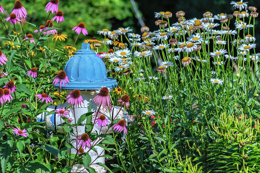 Fire Hydrant Flowers Photograph by Jim Shackett