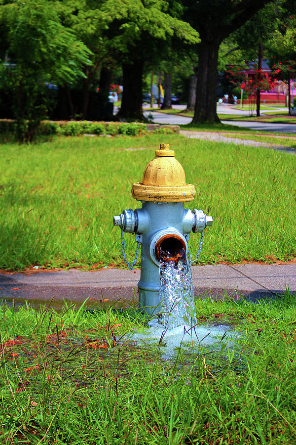 Fire Hydrant Gushing Water Photograph by Cynthia Guinn