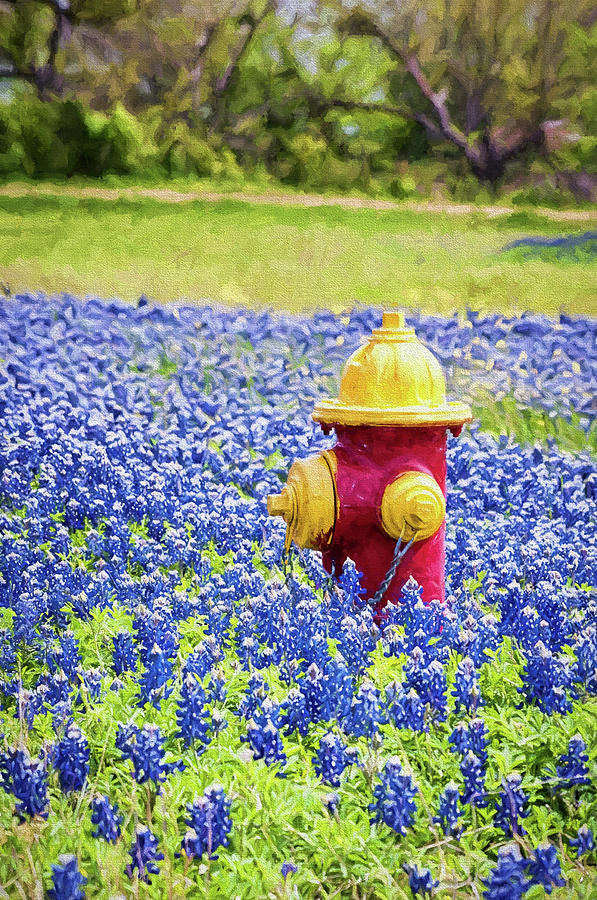 Fire Hydrant in the Bluebonnets Photo Art Photograph by Victor Culpepper
