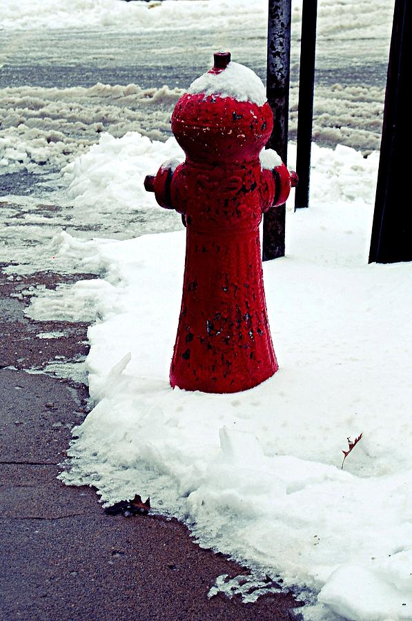 Winter Photograph - Fire Hydrant by Renae Sears