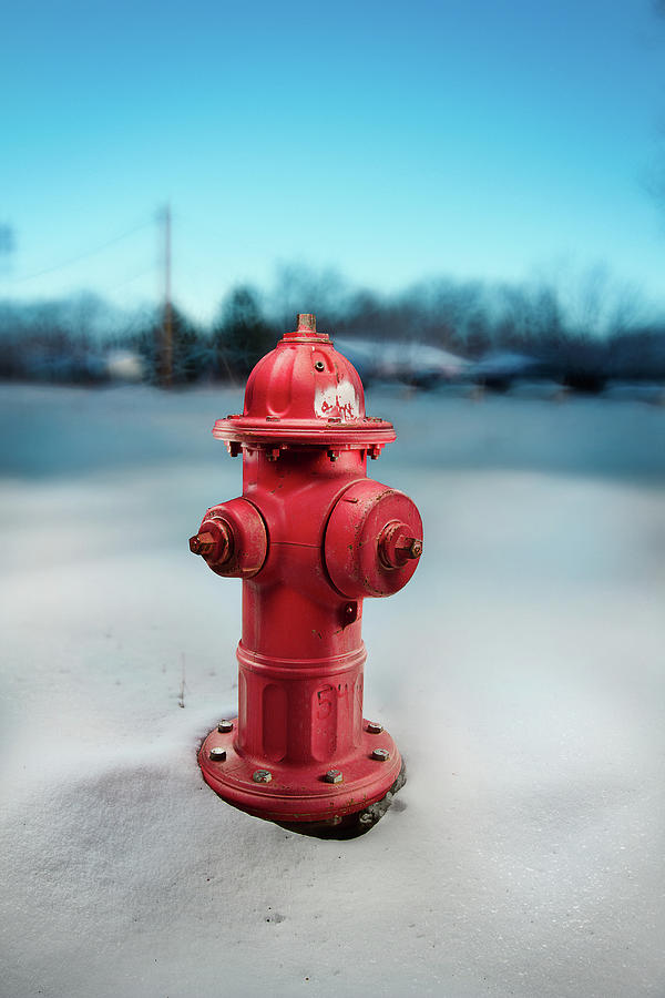 Fire Hydrant Photograph by Yo Pedro