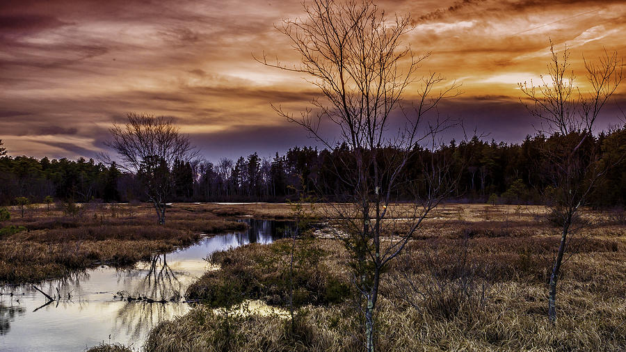 Fire in the Pine Lands Sky Photograph by Louis Dallara