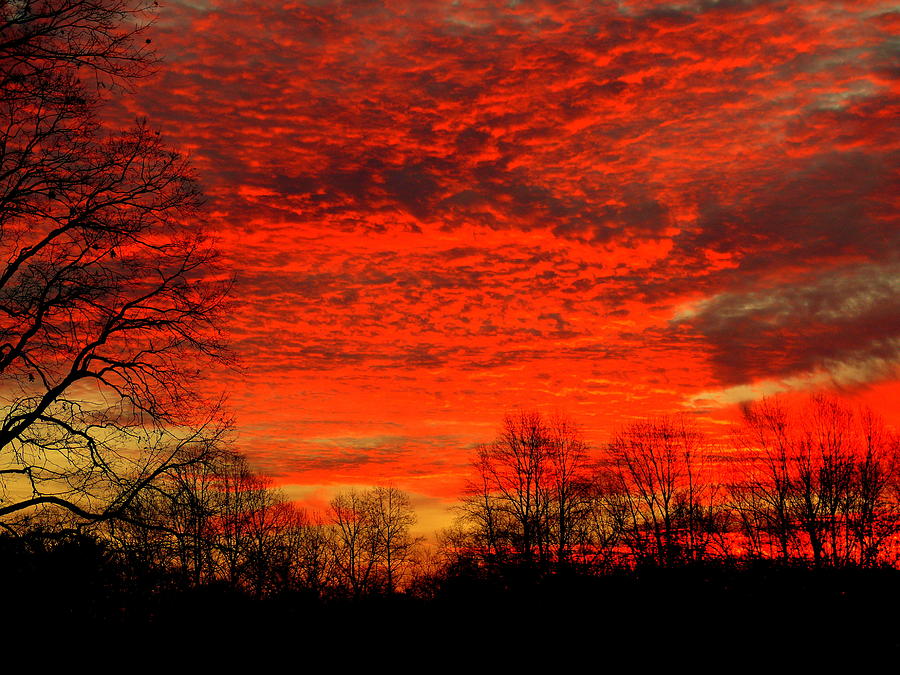 Fire in the sky Photograph by Aron Chervin