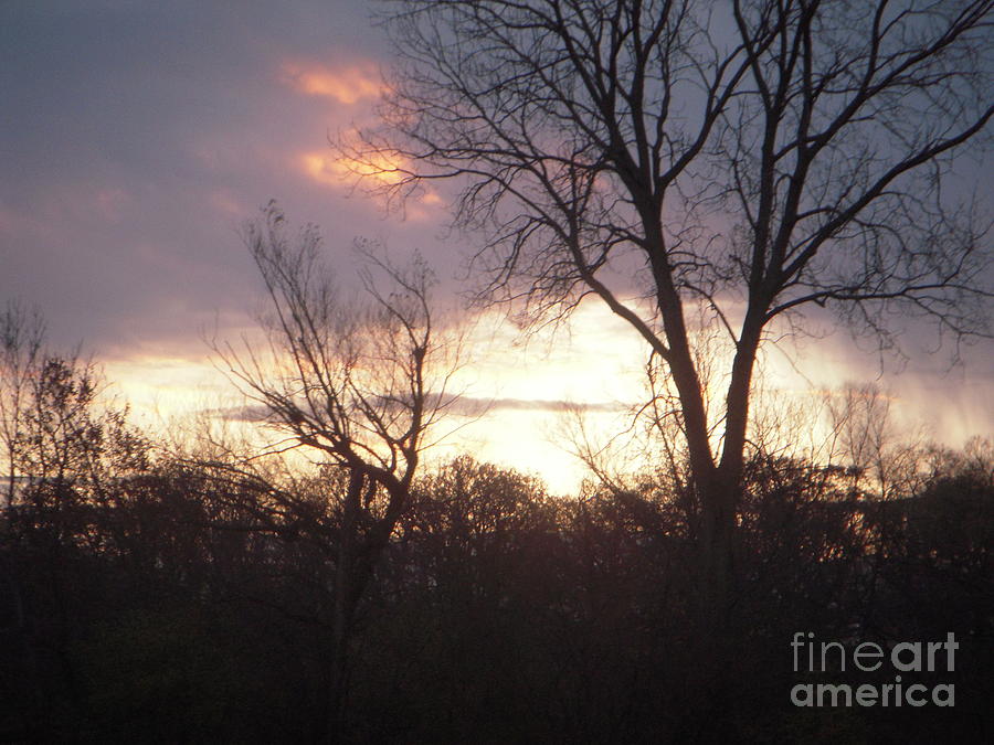 Fire in the sky Photograph by Deborah Finley Fire in the sky Photograph by Deborah Finley