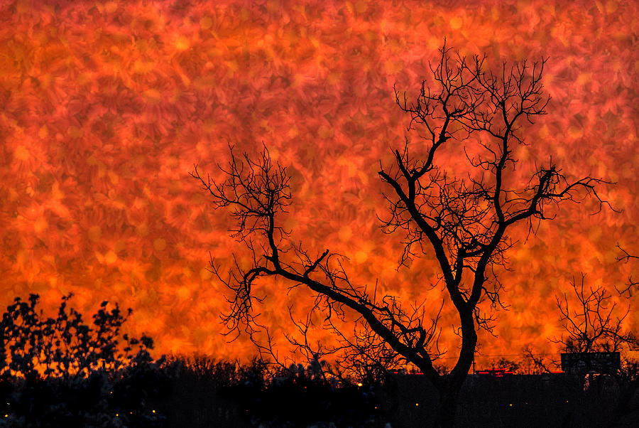 Abstract Photograph - Fire in the Sky by Jolynn Reed