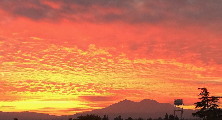 Fire In The Sky Photograph by Michael Bergman