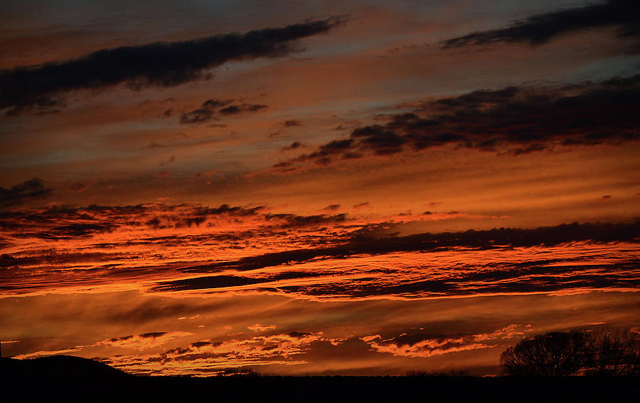 Fire in the Sky Photograph by Nadalyn Larsen