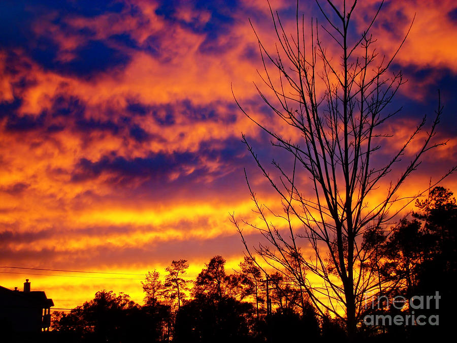 Fire in the Sky Photograph by Sue Melvin