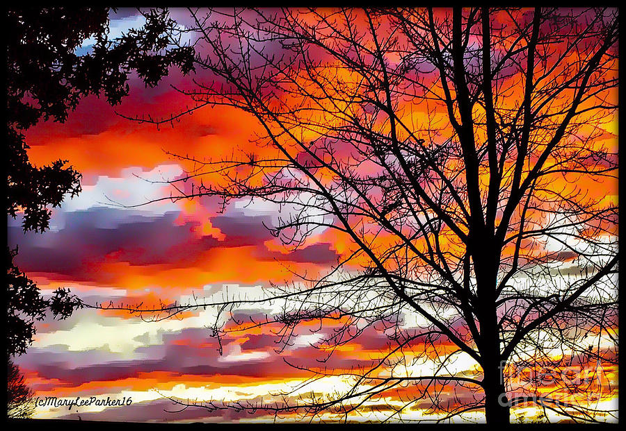 Tree Mixed Media -  Fire InThe Sky by MaryLee Parker