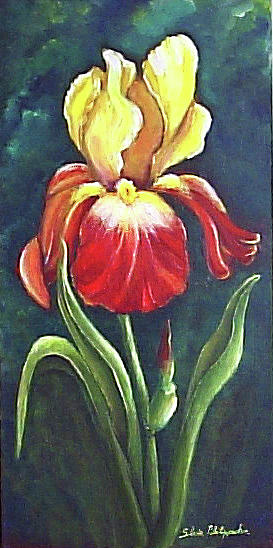 Fire Iris Painting by Silvia Philippsohn