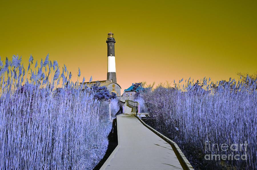 Fire Island Lighthouse Gold and Purple Photograph by Stacie Siemsen