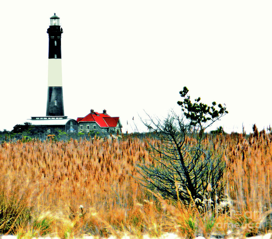 Fire Island Lighthouse HDR Photograph by Raymond Earley