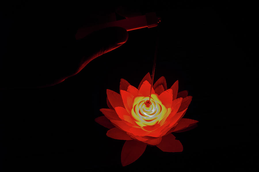 Fire Lotus Horizontal Photograph by William Dickman
