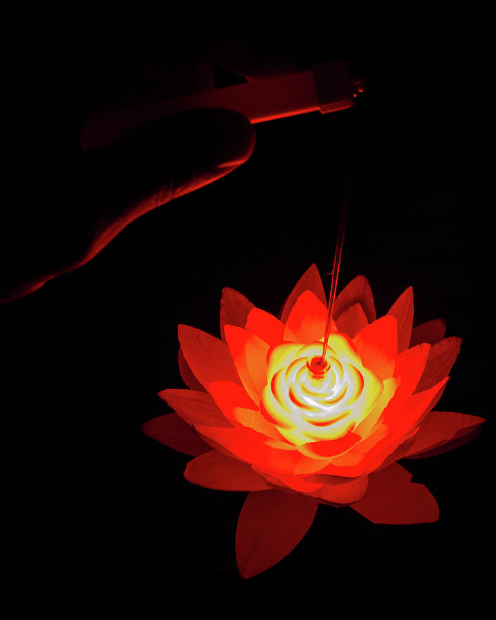 Fire Lotus Vertical Photograph by William Dickman