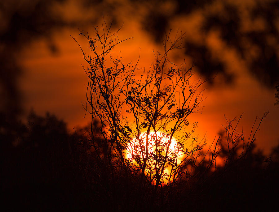 Fire on the Horizon Photograph by David Eppley