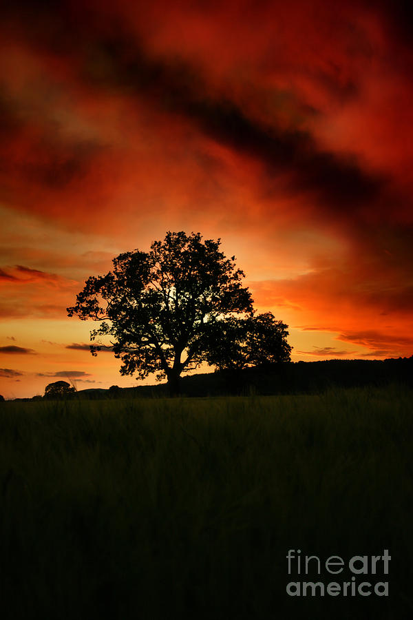 Sunset Photograph - Fire On The Sky by Ang El