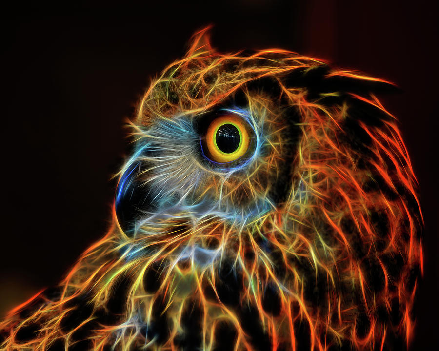 Fire Owl Digital Art by Wes and Dotty Weber
