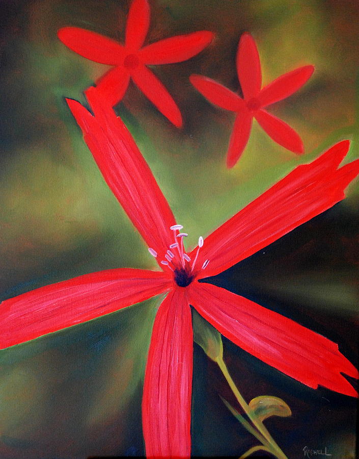 Fire Pink Wildflower Painting by Rachel Lawson