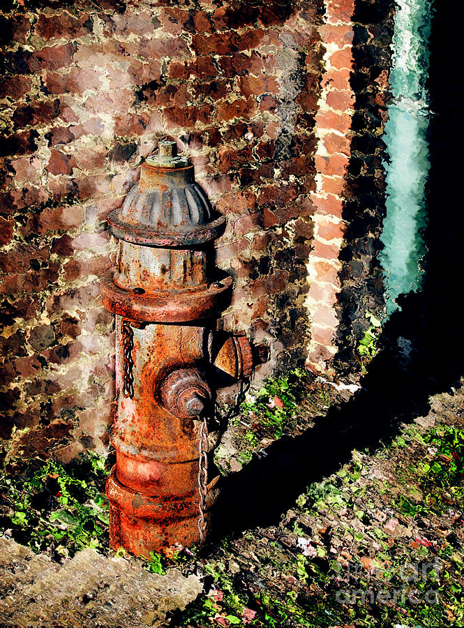 Brick Photograph - Fire Plug by Colleen Kammerer