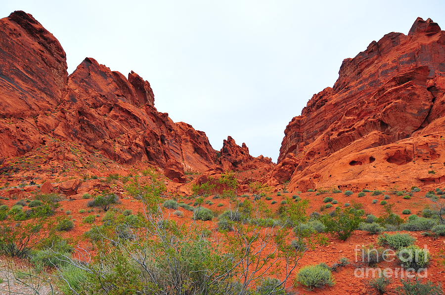 Fire Red Canyons Photograph