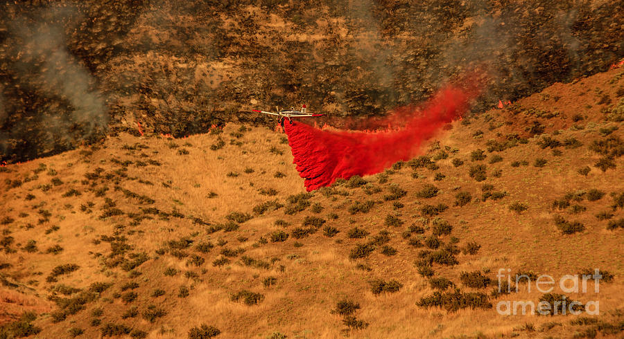 Fire Retardant Photograph by Robert Bales