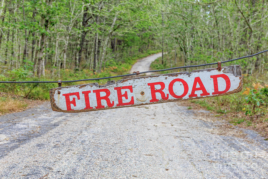 Fire Road Sign Photograph by Edward Fielding