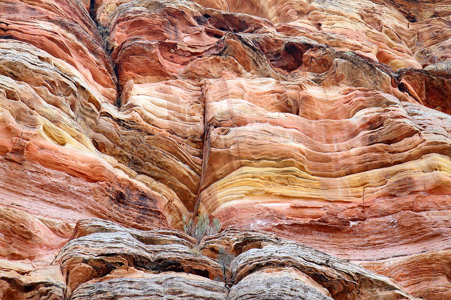 Mountain Photograph - Fire rock in Zion National Park by Pierre Leclerc Photography