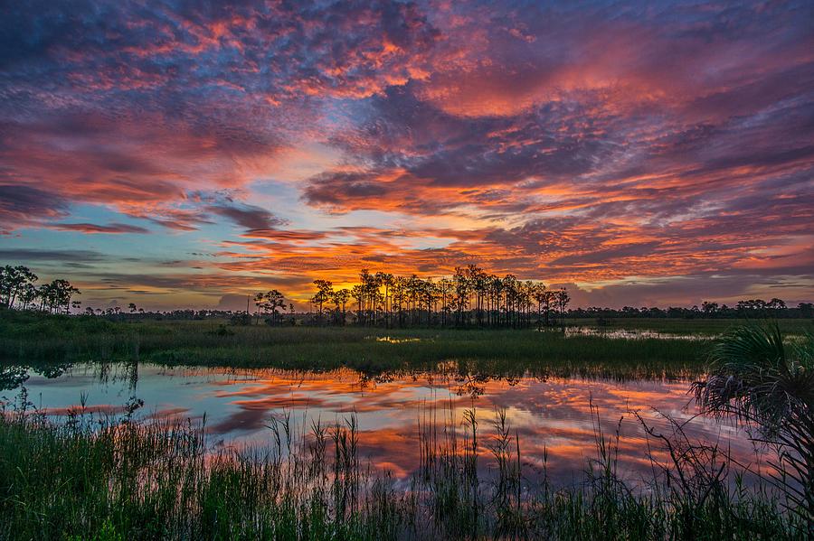 Fire Sky Big Cypress Photograph by Joey Waves - Pixels