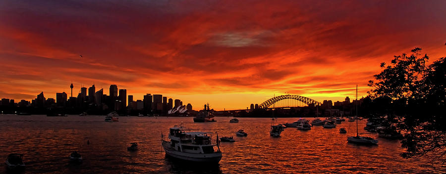 Sunset Photograph - Fire Sky Over Sydney Harbour by Miroslava Jurcik