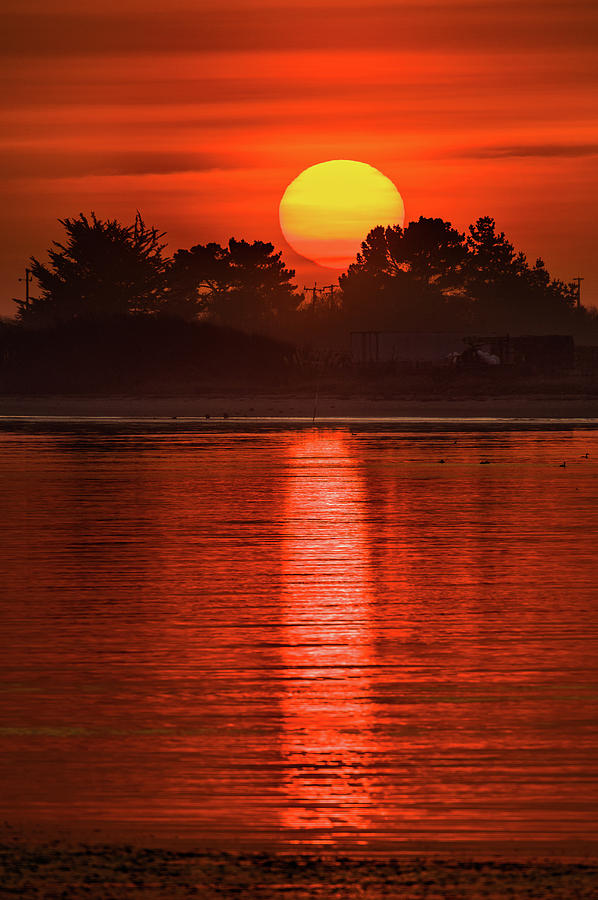 Fire Sun over Humboldt Bay Photograph by Greg Nyquist