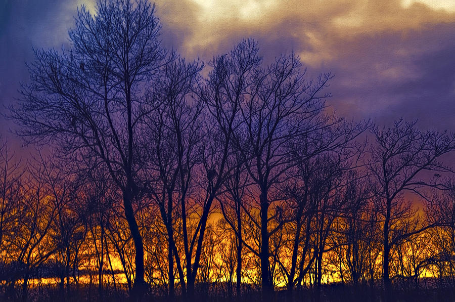 Fire Sunset Photograph by Maria Coulson