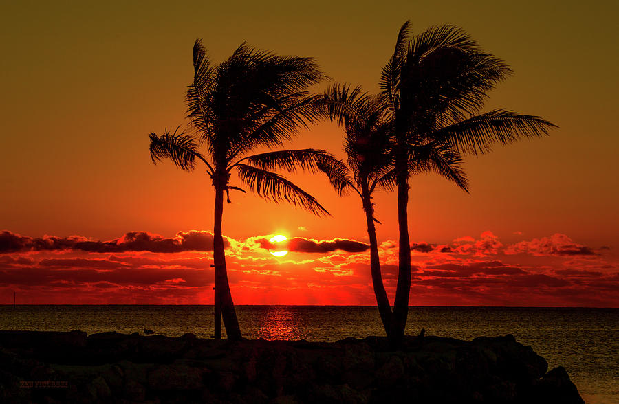 Fire Sunset Through Palms Photograph by Ken Figurski