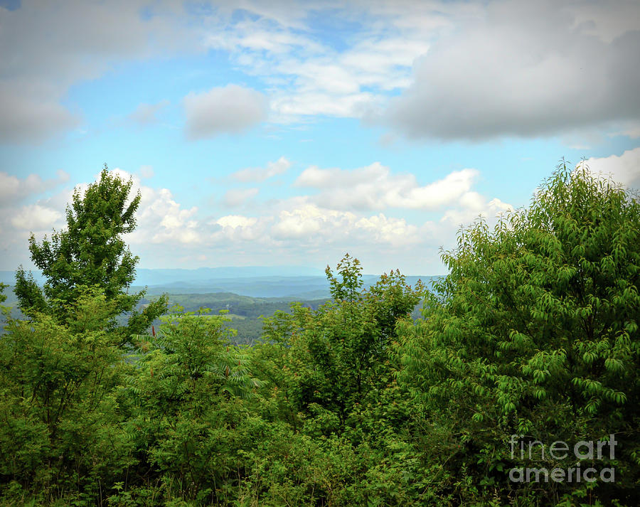 Fire Tower View - Pipestem State Park Photograph by Kerri Farley