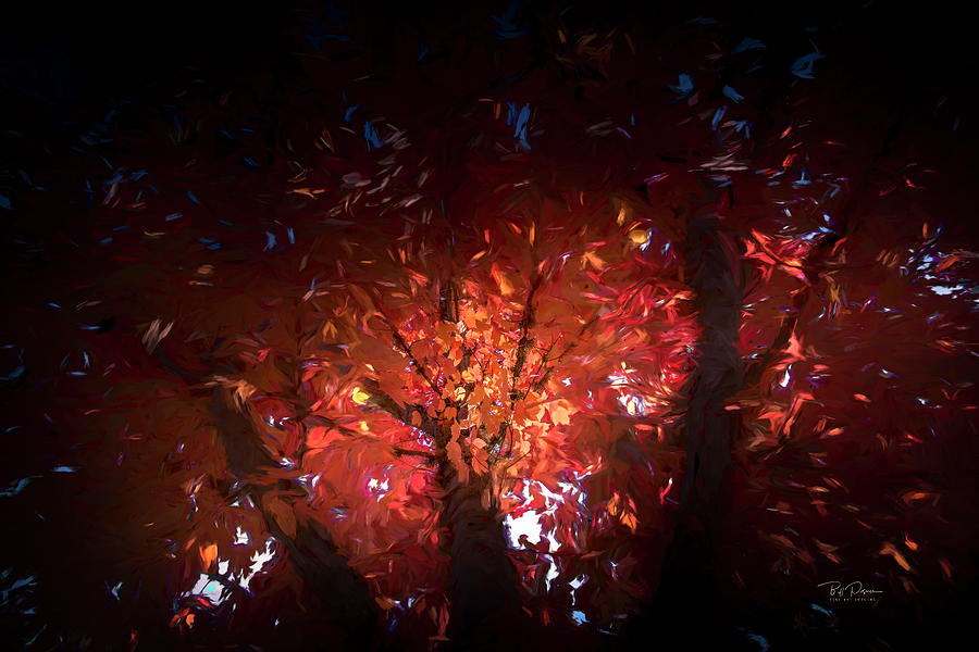 Fire Tree  Photograph by Bill Posner