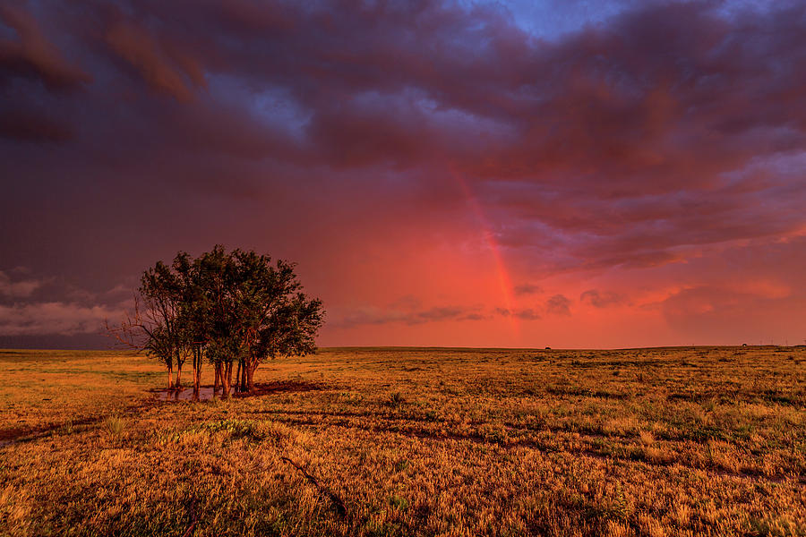 Nature Photograph - Fire Within - Grove of Trees and Rainbow in Fiery Sky in Oklahoma by Southern Plains Photography