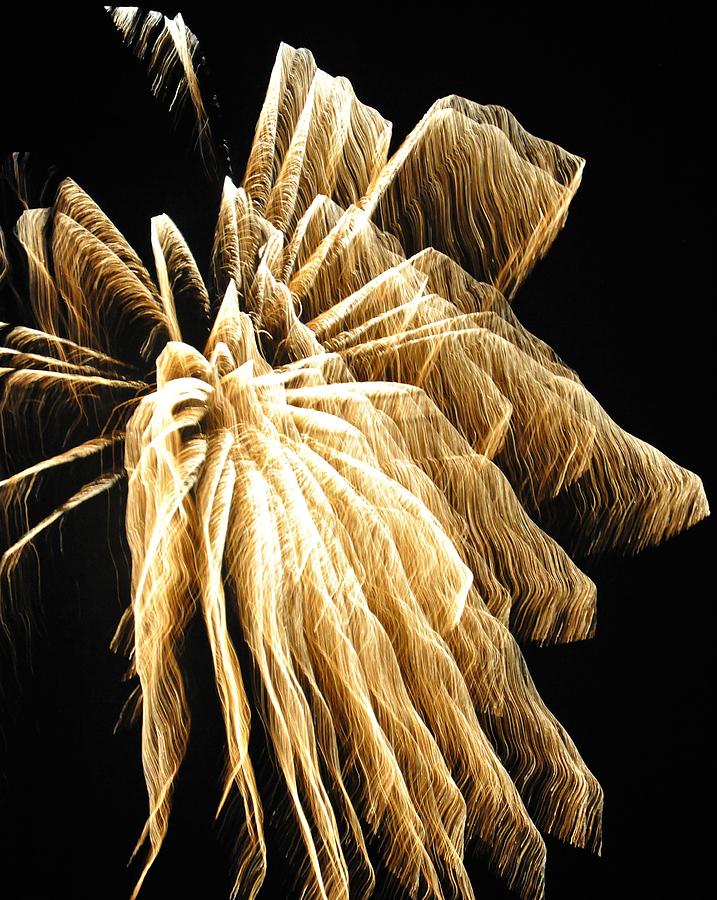 Fireworks Palm Tree Photograph by Heidi Fickinger