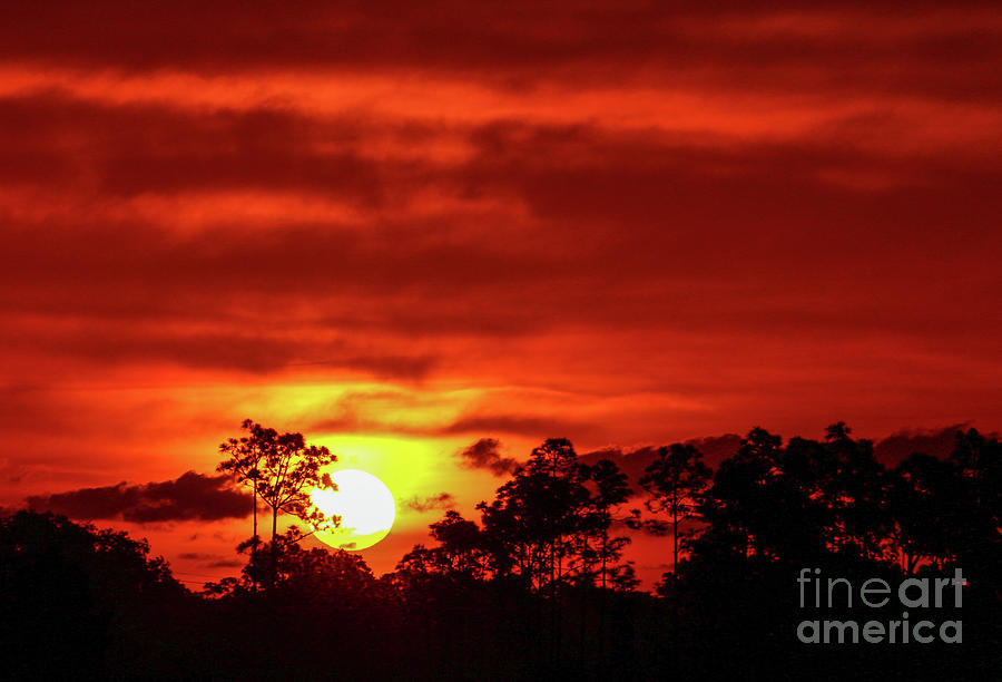 Fireball Sunrise Photograph by Tom Claud