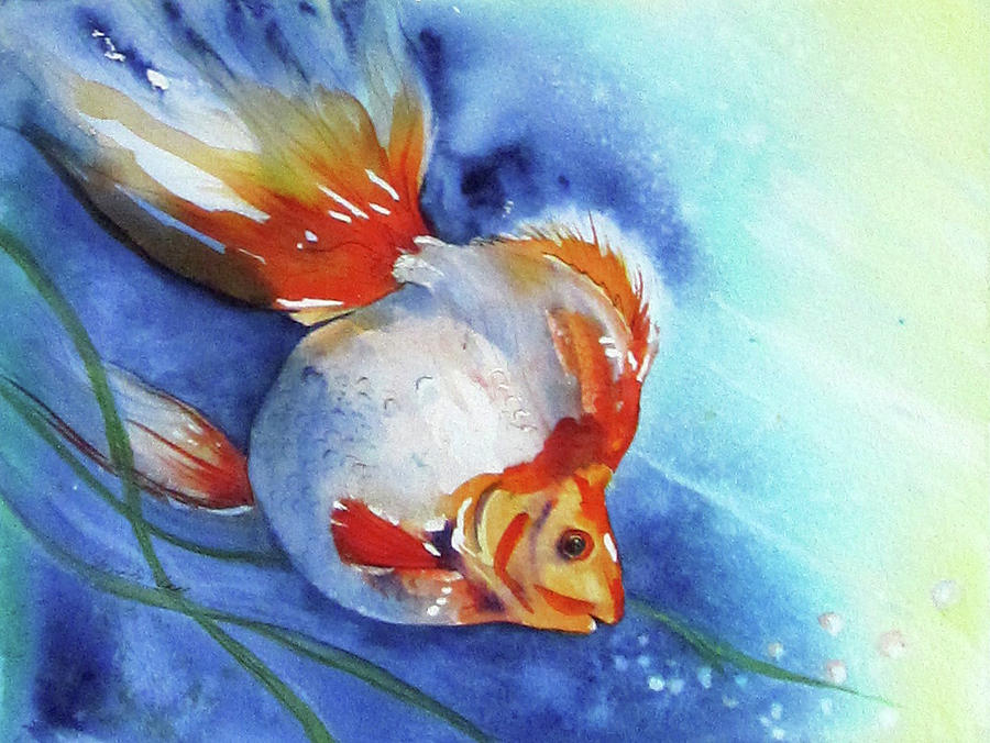 Goldfish Painting - Firebrand by Gina Hall
